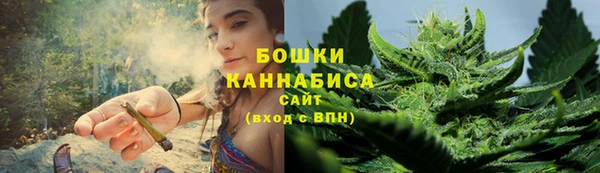 ГАЛЛЮЦИНОГЕННЫЕ ГРИБЫ Балахна