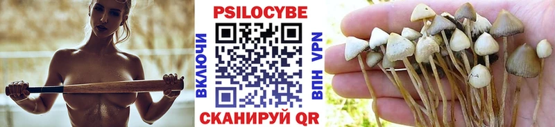 Галлюциногенные грибы Psilocybine cubensis  Купить закладки  Называевск 